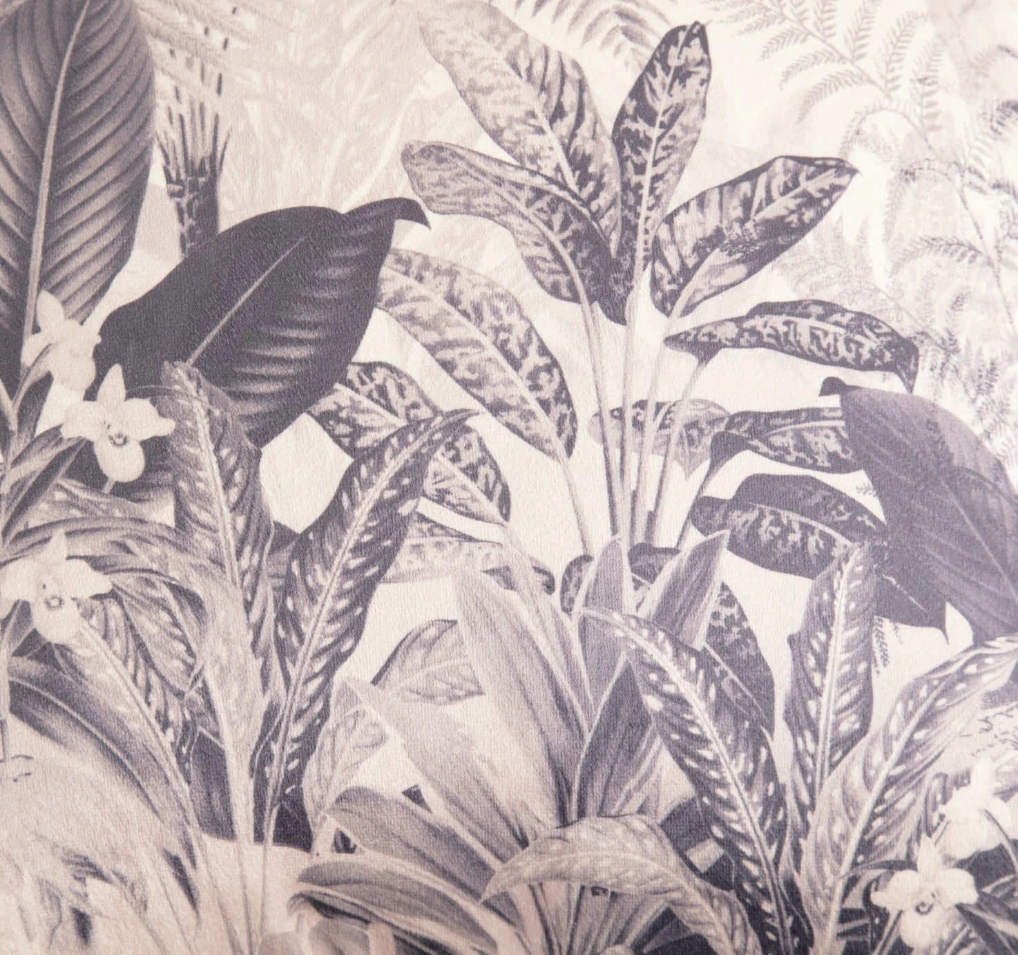 Habitat Tropical Fringed Cushion - Multi - 50x50cm - Image 3